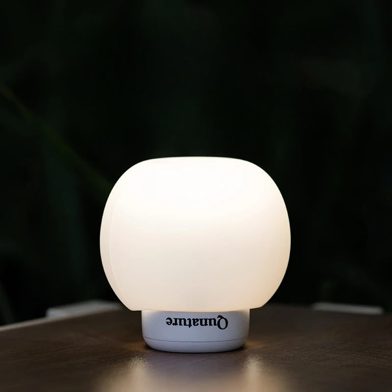 Pompe_a_air_multifonction_Gris_Blanc_8